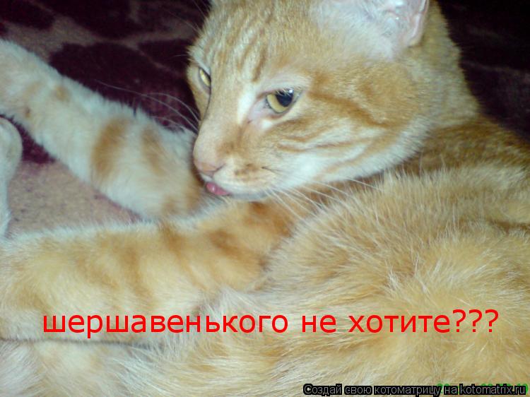 шершавенького не хотите???... Котоматрица: шершавенького не хотите???