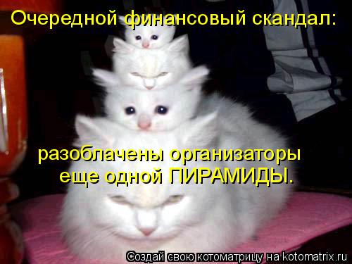 Очередной финансовый скандал: разоблачены организаторы еще одной ПИРАМИДЫ.... Котоматрица: Очередной финансовый скандал: разоблачены организаторы еще одной ПИРАМИДЫ.