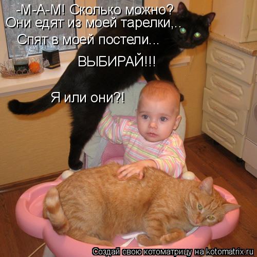 -М-А-М! Сколько можно? Они едят из моей тарелки,.. Спят в моей постели... ВЫБИРАЙ!!! Я или они?!... Котоматрица: -М-А-М! Сколько можно? Они едят из моей тарелки,.. Спят в моей постели... ВЫБИРАЙ!!! Я или они?!