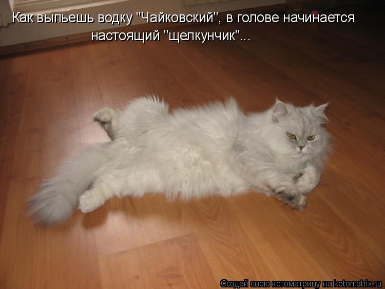 Как выпьешь водку "Чайковский", в голове начинается настоящий "щелкунчик"...... Котоматрица: Как выпьешь водку "Чайковский", в голове начинается настоящий "щелкунчик"...