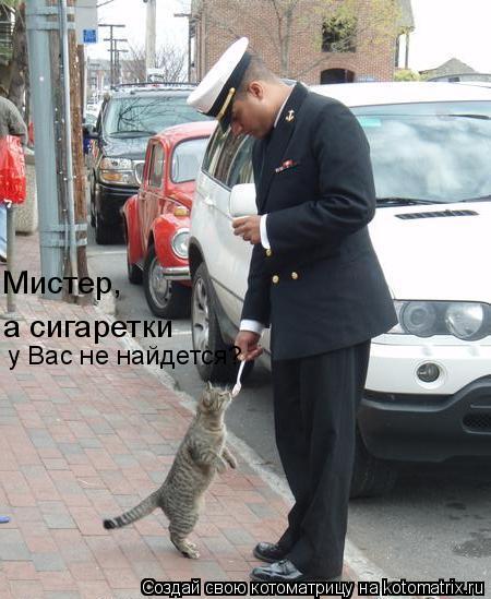 Котоматрица: Мистер,  а сигаретки у Вас не найдется?