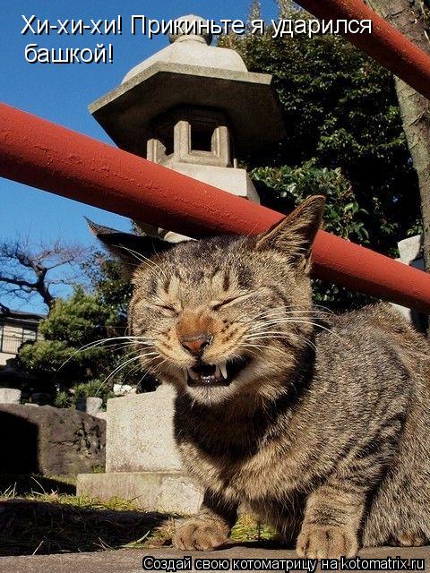 Котоматрица: Хи-хи-хи! Прикиньте я ударился  башкой!