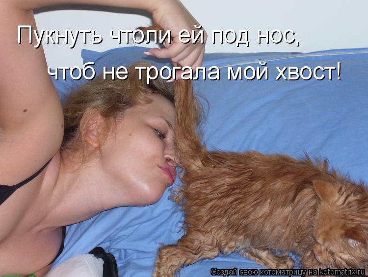 Пукнуть чтоли ей под нос, чтоб не трогала мой хвост!... Котоматрица: Пукнуть чтоли ей под нос, чтоб не трогала мой хвост!