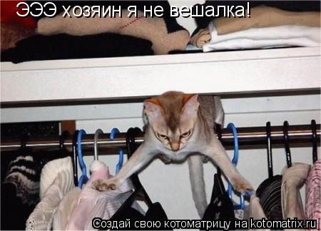 Котоматрица: ЭЭЭ хозяин я не вешалка!