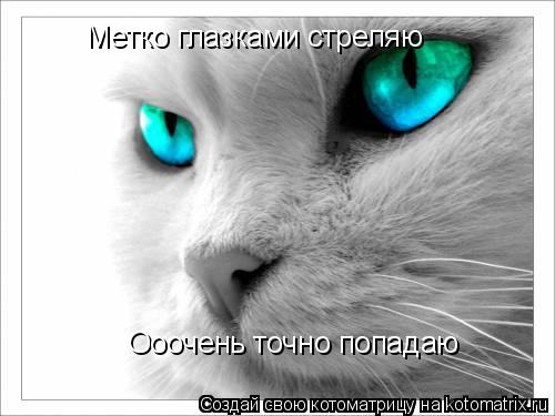 Котоматрица: Метко глазками стреляю Ооочень точно попадаю