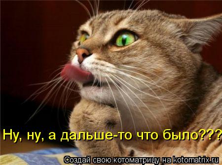 Ну, ну, а дальше-то что было???... Котоматрица: Ну, ну, а дальше-то что было???