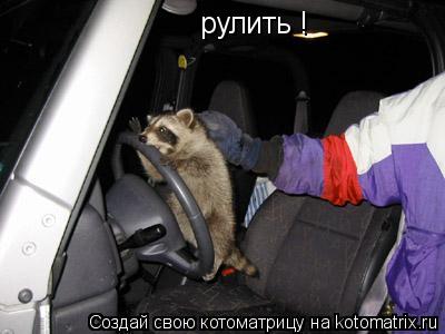 рулить !... Котоматрица: рулить !