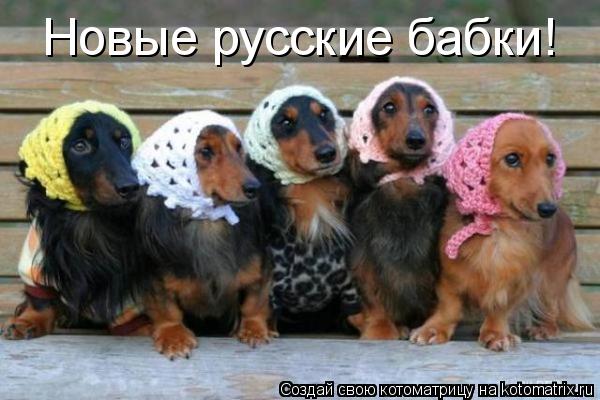 Новые русские бабки!... Котоматрица: Новые русские бабки!