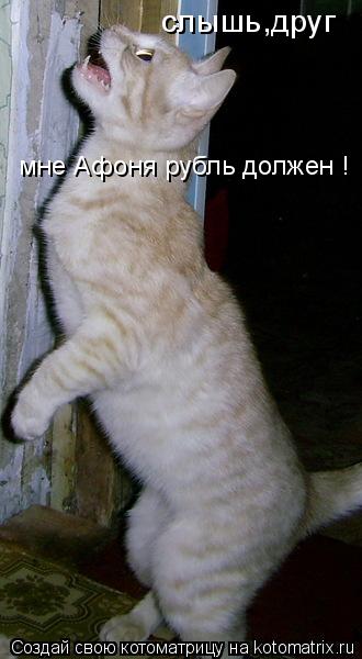 слышь,друг мне Афоня рубль должен !... Котоматрица: слышь,друг мне Афоня рубль должен !