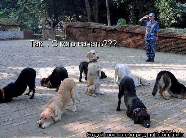 Так... С кого начать???... Котоматрица: Так... С кого начать???