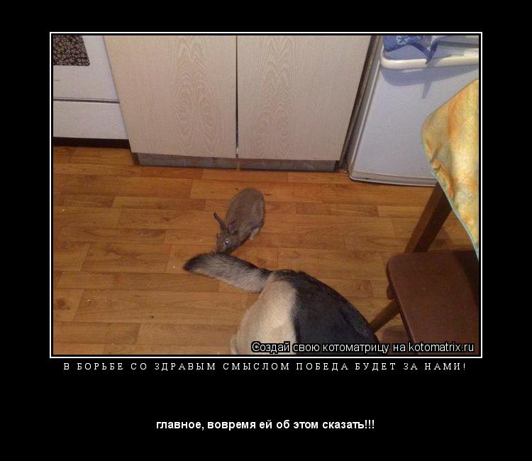 Котоматрица: В   Б О Р Ь Б Е   С О   З Д Р А В Ы М   С М Ы С Л О М   П О Б Е Д А   Б У Д Е Т   З А   Н А М И ! 