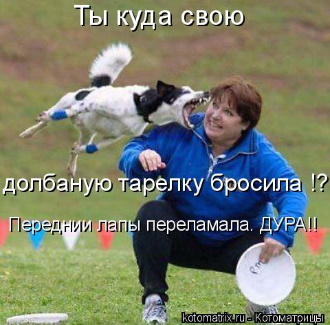 Котоматрица: Ты куда свою долбаную тарелку бросила !? Переднии лапы переламала. ДУРА!!