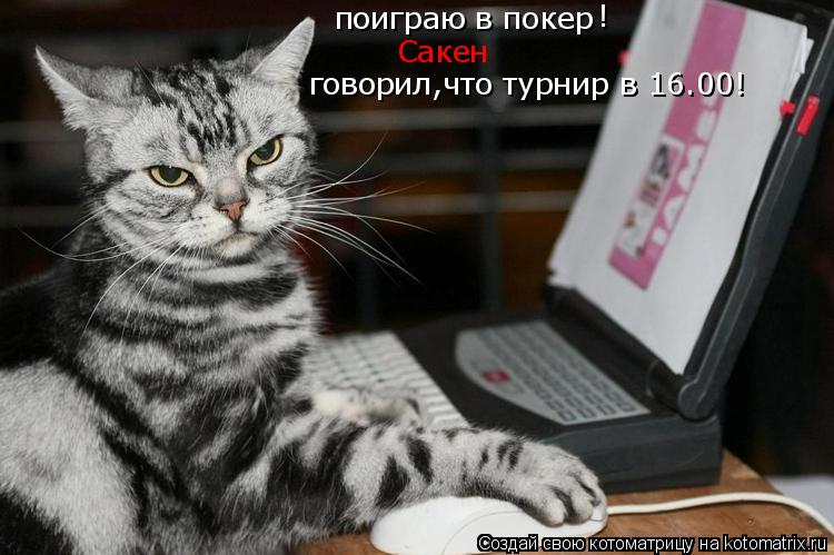 поиграю в покер Сакен ! говорил,что турнир в 16.00!... Котоматрица: поиграю в покер Сакен ! говорил,что турнир в 16.00!