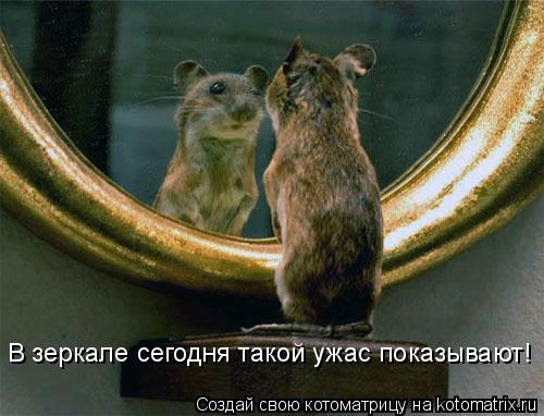 Котоматрица: В зеркале сегодня такой ужас показывают!