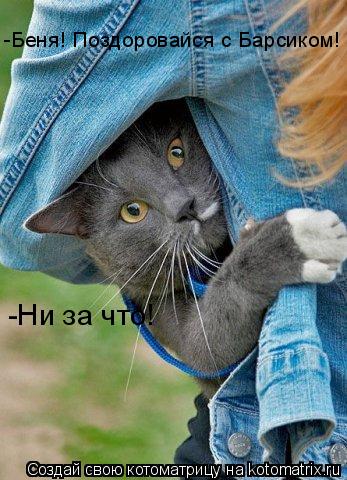 Котоматрица: -Беня! Поздоровайся с Барсиком! -Ни за что!