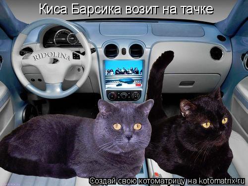Котоматрица: Киса Барсика возит на тачке