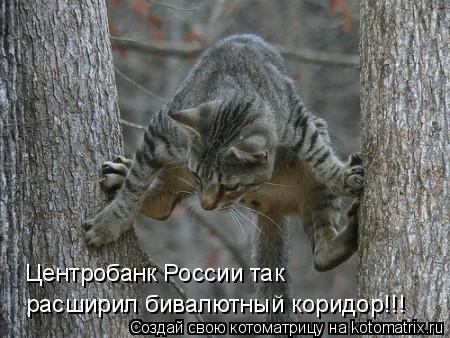 Котоматрица: Центробанк России так расширил бивалютный коридор!!!
