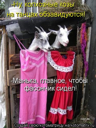 Котоматрица: -Ну, колхозные козы на танцах обзавидуются! -Манька, главное, чтобы фасончик сидел!