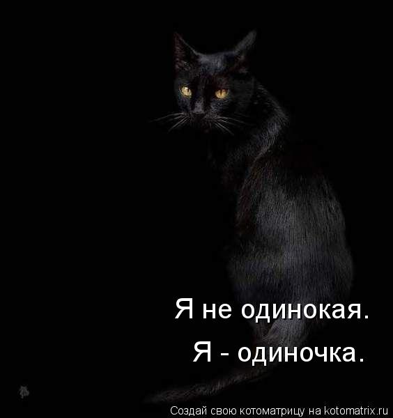 Котоматрица: Я не одинокая. Я - одиночка.