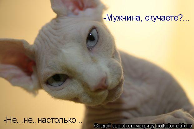 Котоматрица: -Мужчина, скучаете?... -Не...не..настолько...