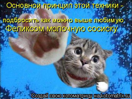 Котоматрица: Основной принцип этой техники -  подбросить как можно выше любимую  Феликсом молочную сосиску.