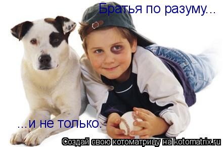 Котоматрица: Братья по разуму... ...и не только.
