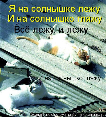 Котоматрица: Я на солнышке лежу И на солнышко гляжу Всё лежу, и лежу Всё лежу, и лежу И на солнышко гляжу
