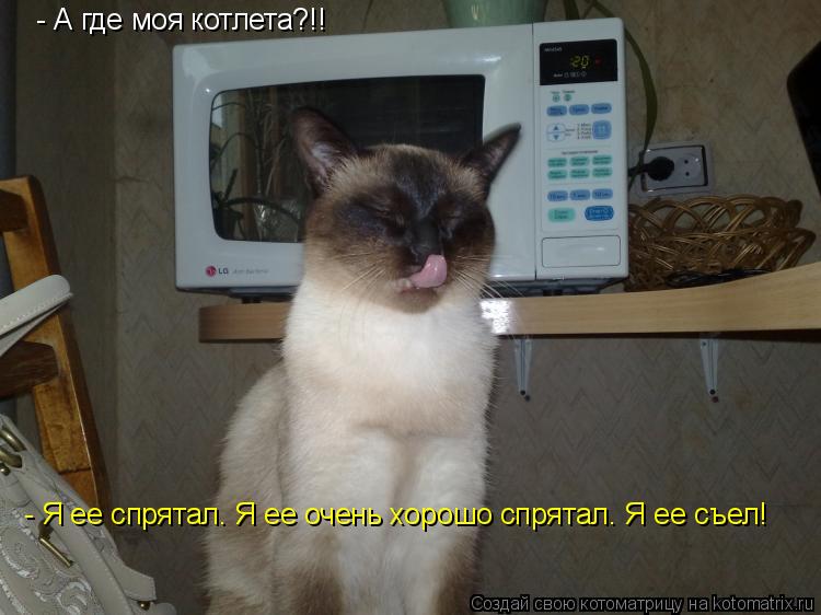 - А где моя котлета?!! - Я ее спрятал. Я ее очень хорошо спрятал. Я ее съел!... Котоматрица: - А где моя котлета?!! - Я ее спрятал. Я ее очень хорошо спрятал. Я ее съел!