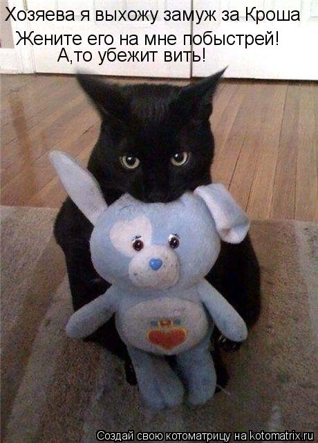 Котоматрица: Хозяева я выхожу замуж за Кроша Жените его на мне побыстрей! А,то убежит вить!