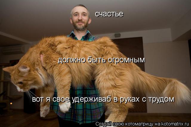 Котоматрица: счастье должно быть огромным вот я свое удерживаб в руках с трудом