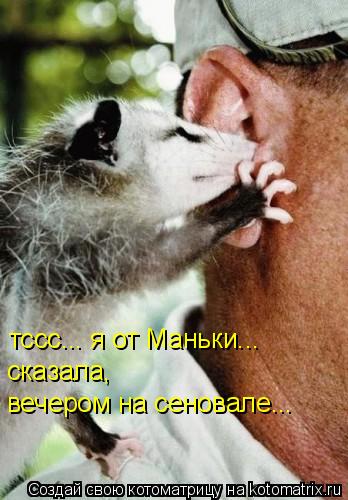 Котоматрица: тссс... я от Маньки... сказала, вечером на сеновале...