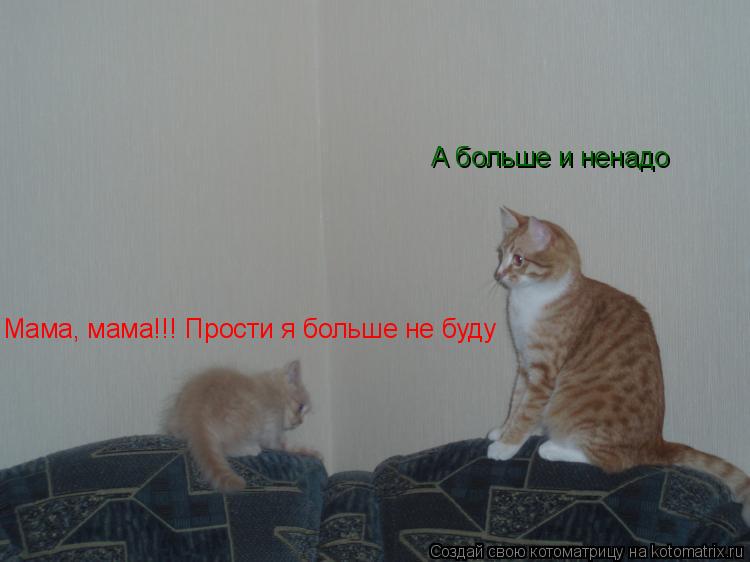 Котоматрица: Мама, мама!!! Прости я больше не буду А больше и ненадо