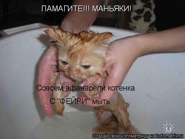 Котоматрица: ПАМАГИТЕ!!! МАНЬЯКИ! Совсем афанарели котенка С "ФЕЙРИ" мыть