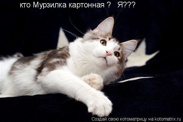 Котоматрица: кто Мурзилка картонная ?   Я???