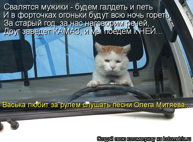 Котоматрица: Свалятся мужики - будем галдеть и петь И в форточках огоньки будут всю ночь гореть, За старый год, за нас наговорим речей, Друг заведет КАМАЗ,