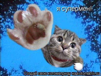 Котоматрица: я супермен!