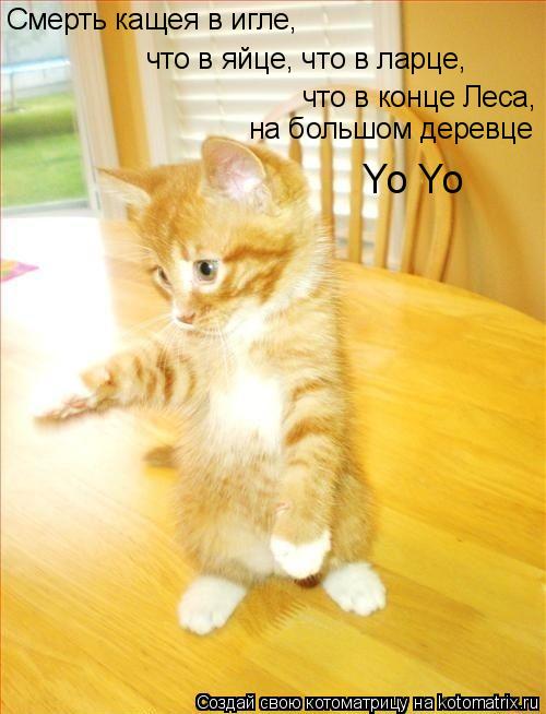 Котоматрица: Смерть кащея в игле, что в яйце, что в ларце, что в конце Леса, на большом деревце Yo Yo