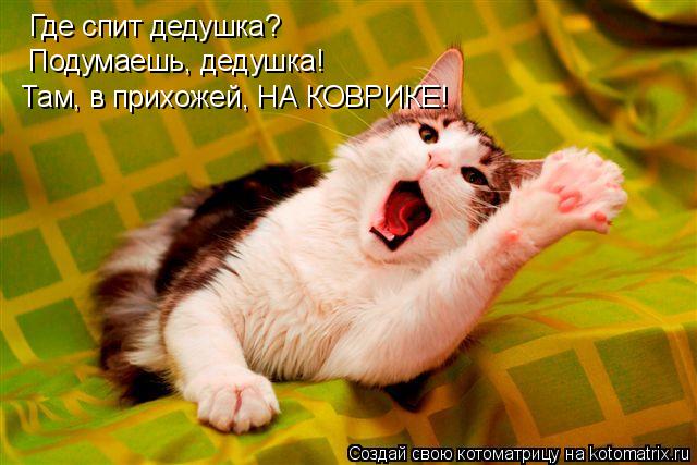 Котоматрица: Где спит дедушка? Подумаешь, дедушка!  Там, в прихожей, НА КОВРИКЕ!