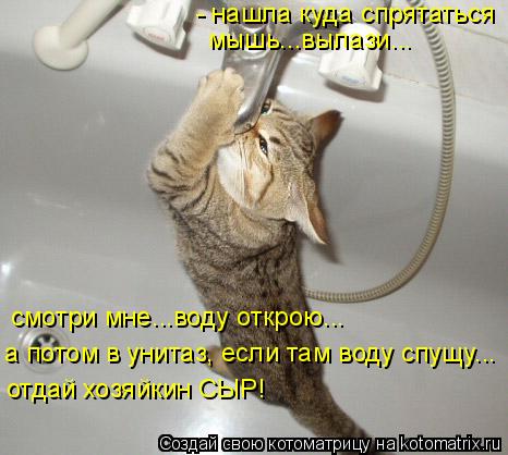 Котоматрица: - нашла куда спрятаться мышь...вылази... смотри мне...воду открою... а потом в унитаз, если там воду спущу... отдай хозяйкин СЫР!