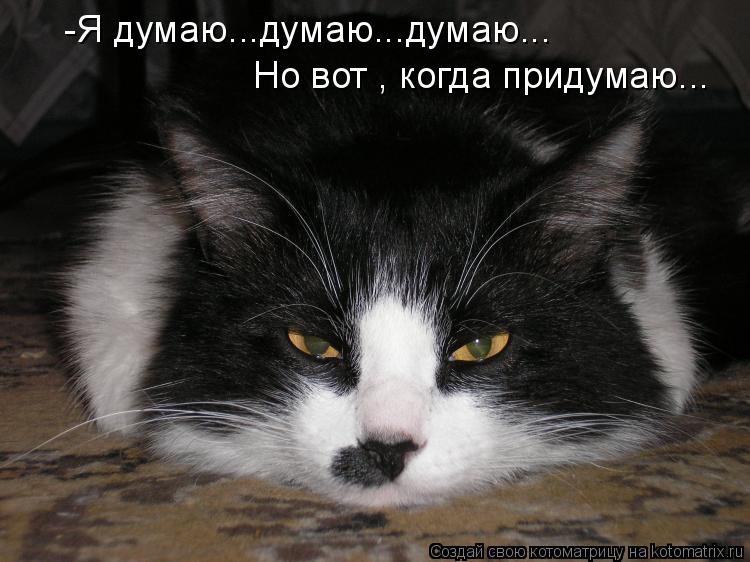 Котоматрица: -Я думаю...думаю...думаю... Но вот , когда придумаю...