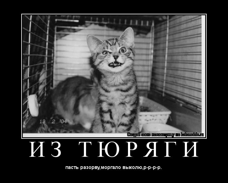 Котоматрица: И З   Т Ю Р Я Г И 
