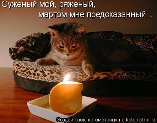 Котоматрица: Суженый мой, ряженый, мартом мне предсказанный...
