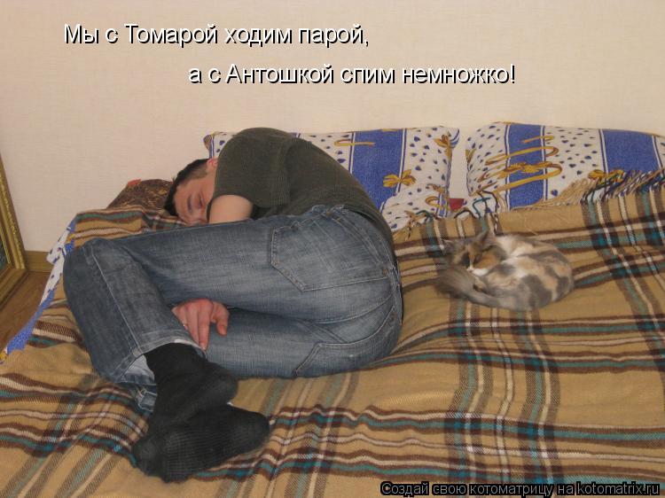 Котоматрица: Мы с Томарой ходим парой,  а с Антошкой спим немножко!