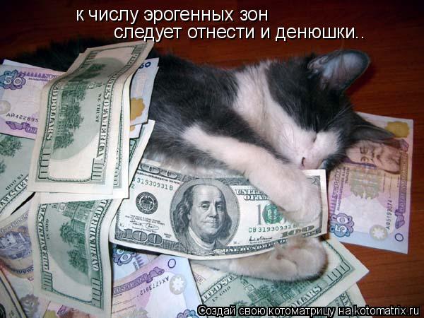 Котоматрица: к числу эрогенных зон   следует отнести и денюшки..