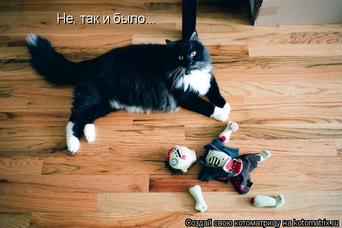 Не, так и было...... Котоматрица: Не, так и было...
