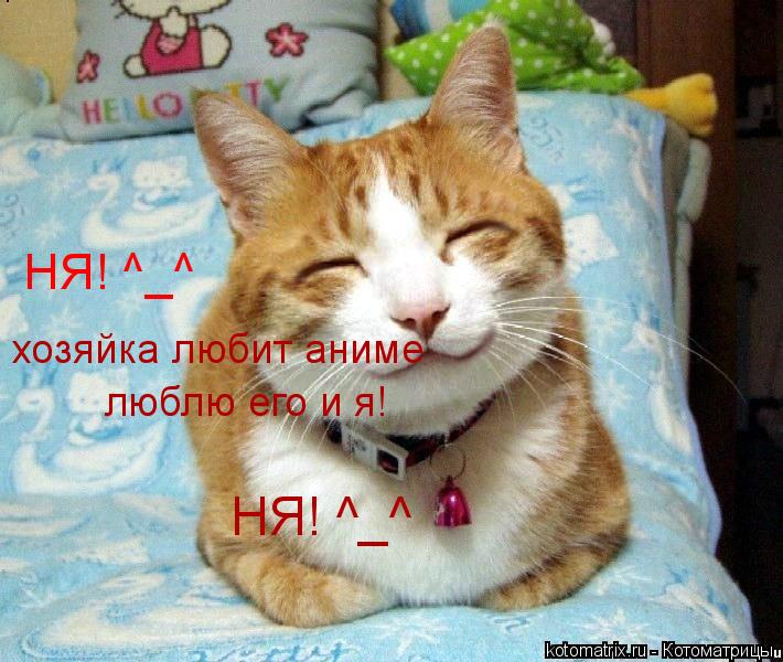 Котоматрица: НЯ! ^_^ люблю его и я! хозяйка любит аниме НЯ! ^_^