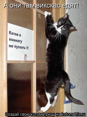 Котоматрица: А они там викскас едят!