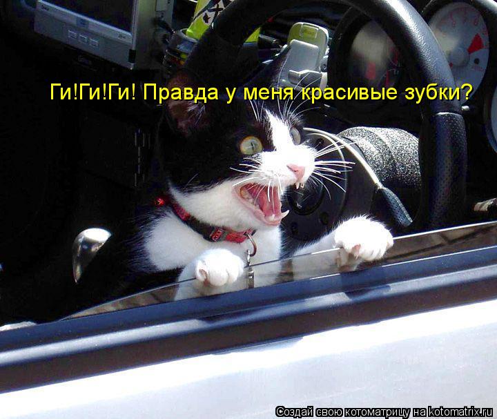 Котоматрица: Ги!Ги!Ги! Правда у меня красивые зубки?