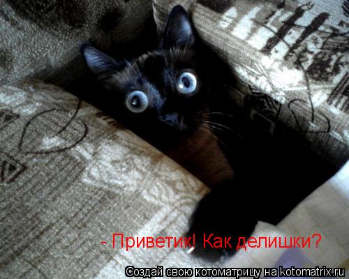 Котоматрица: - Приветик! Как делишки?