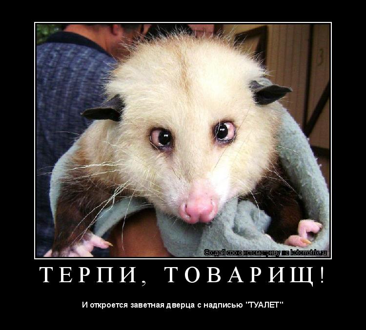 Т Е Р П И , Т О В А Р И Щ ! ... Котоматрица: Т Е Р П И , Т О В А Р И Щ !